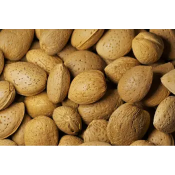 Fresh Kagzi Almonds